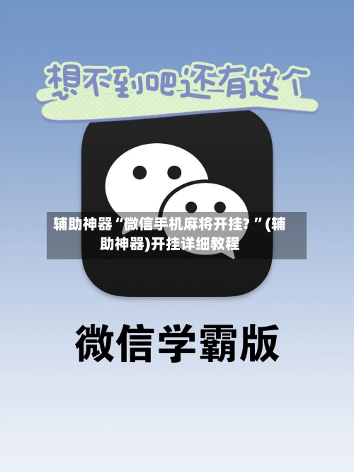 辅助神器“微信手机麻将开挂? 	”(辅助神器)开挂详细教程-第3张图片