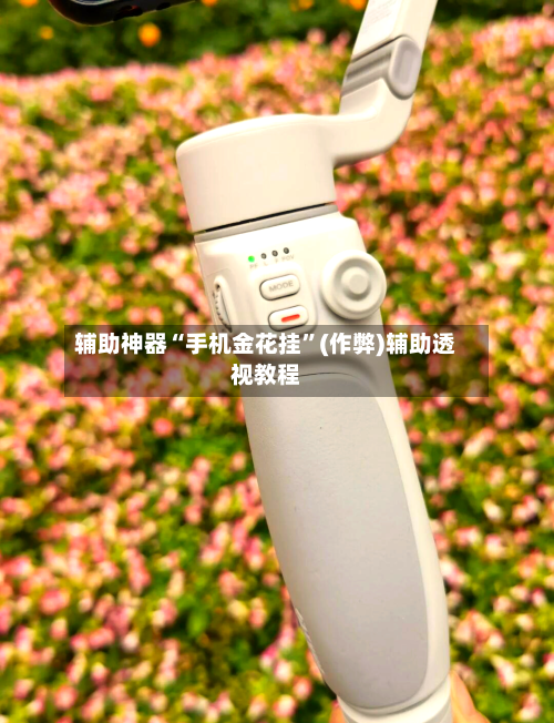 辅助神器“手机金花挂”(作弊)辅助透视教程-第2张图片