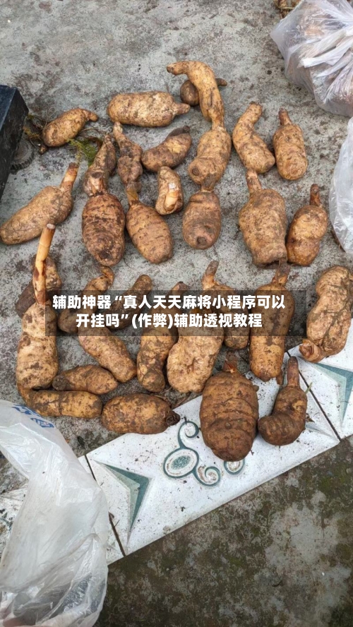 辅助神器“真人天天麻将小程序可以开挂吗	”(作弊)辅助透视教程-第3张图片