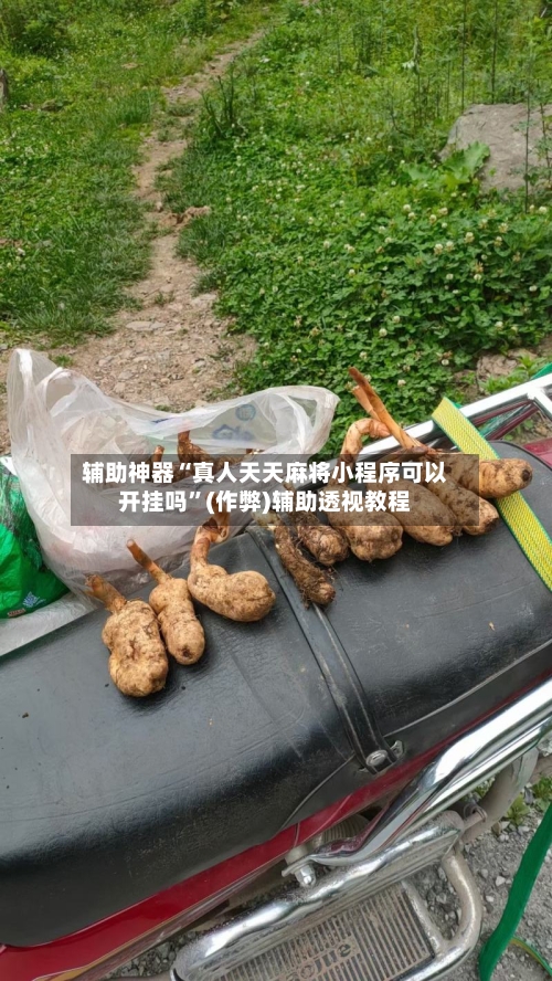 辅助神器“真人天天麻将小程序可以开挂吗”(作弊)辅助透视教程-第2张图片