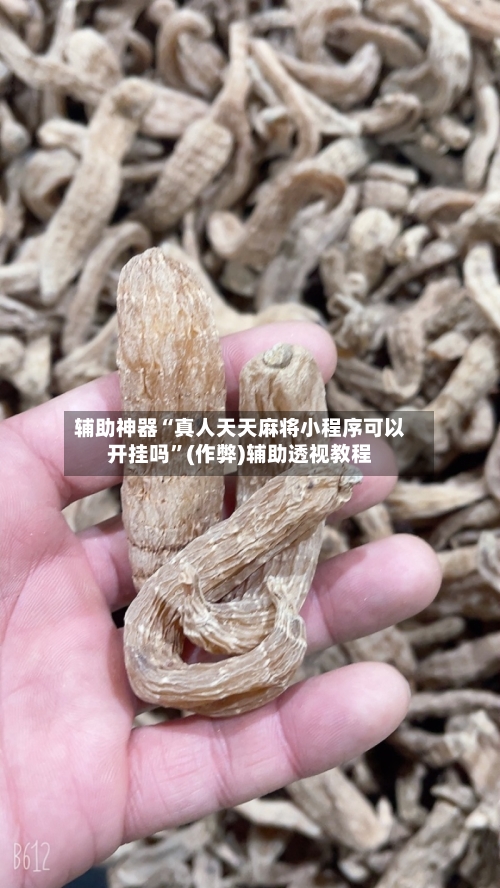 辅助神器“真人天天麻将小程序可以开挂吗”(作弊)辅助透视教程