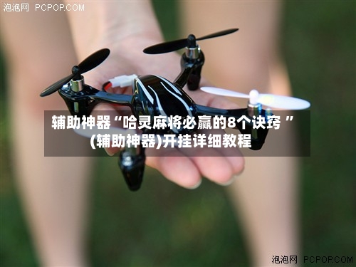 辅助神器“哈灵麻将必赢的8个诀窍 ”(辅助神器)开挂详细教程-第2张图片