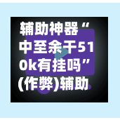 辅助神器“中至余干510k有挂吗”(作弊)辅助透视教程-第2张图片