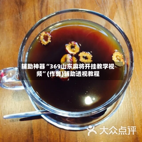 辅助神器“369山东麻将开挂教学视频”(作弊)辅助透视教程-第2张图片
