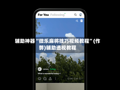 辅助神器“微乐麻将技巧视频教程”(作弊)辅助透视教程-第3张图片