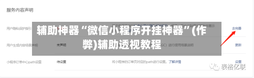 辅助神器“微信小程序开挂神器”(作弊)辅助透视教程-第2张图片
