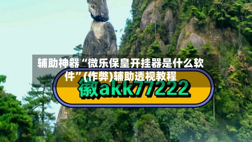 辅助神器“微乐保皇开挂器是什么软件”(作弊)辅助透视教程-第2张图片