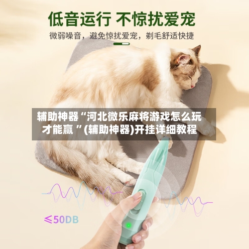 辅助神器“河北微乐麻将游戏怎么玩才能赢 	”(辅助神器)开挂详细教程-第2张图片