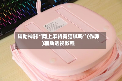 辅助神器“网上麻将有猫腻吗”(作弊)辅助透视教程-第3张图片