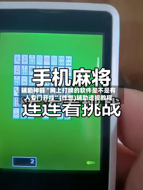 辅助神器“网上打牌的软件是不是有人专门开挂”(作弊)辅助透视教程-第2张图片