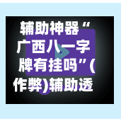 辅助神器“广西八一字牌有挂吗”(作弊)辅助透视教程