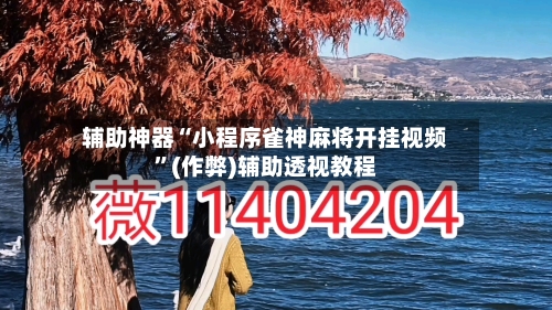 辅助神器“小程序雀神麻将开挂视频”(作弊)辅助透视教程-第2张图片