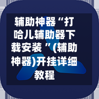 辅助神器“打哈儿辅助器下载安装 ”(辅助神器)开挂详细教程-第2张图片