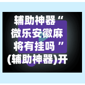 辅助神器“微乐安徽麻将有挂吗 ”(辅助神器)开挂详细教程-第2张图片