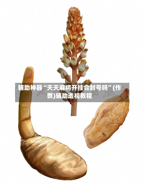 辅助神器“天天麻将开挂会封号吗”(作弊)辅助透视教程-第2张图片