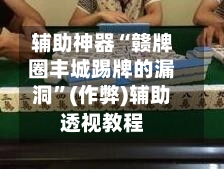辅助神器“赣牌圈丰城踢牌的漏洞”(作弊)辅助透视教程