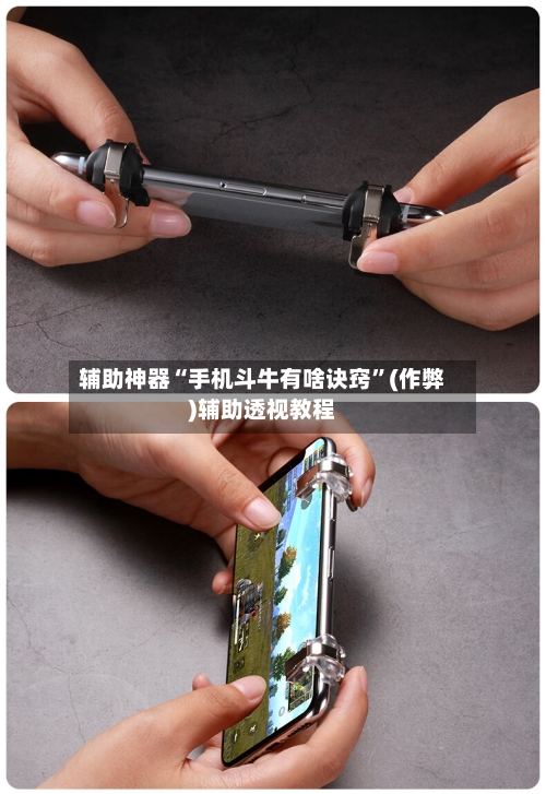 辅助神器“手机斗牛有啥诀窍”(作弊)辅助透视教程-第2张图片