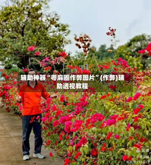 辅助神器“粤麻圈作弊图片	”(作弊)辅助透视教程-第2张图片