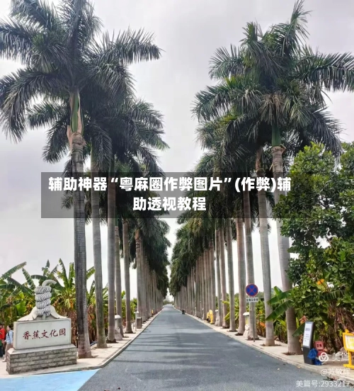 辅助神器“粤麻圈作弊图片”(作弊)辅助透视教程