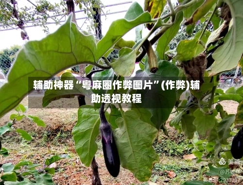 辅助神器“粤麻圈作弊图片”(作弊)辅助透视教程-第3张图片