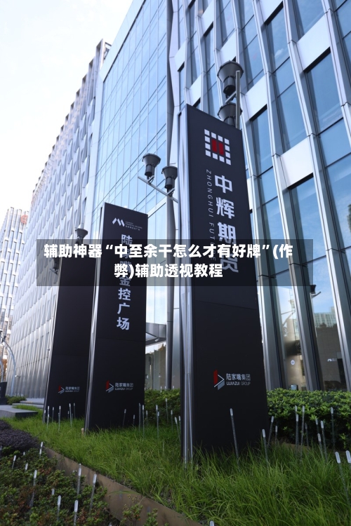 辅助神器“中至余干怎么才有好牌”(作弊)辅助透视教程-第2张图片