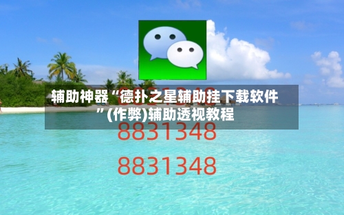 辅助神器“德扑之星辅助挂下载软件”(作弊)辅助透视教程-第3张图片