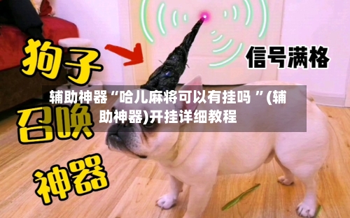 辅助神器“哈儿麻将可以有挂吗 ”(辅助神器)开挂详细教程-第2张图片