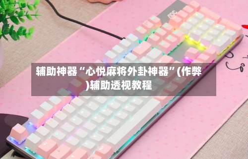 辅助神器“心悦麻将外卦神器	”(作弊)辅助透视教程-第2张图片