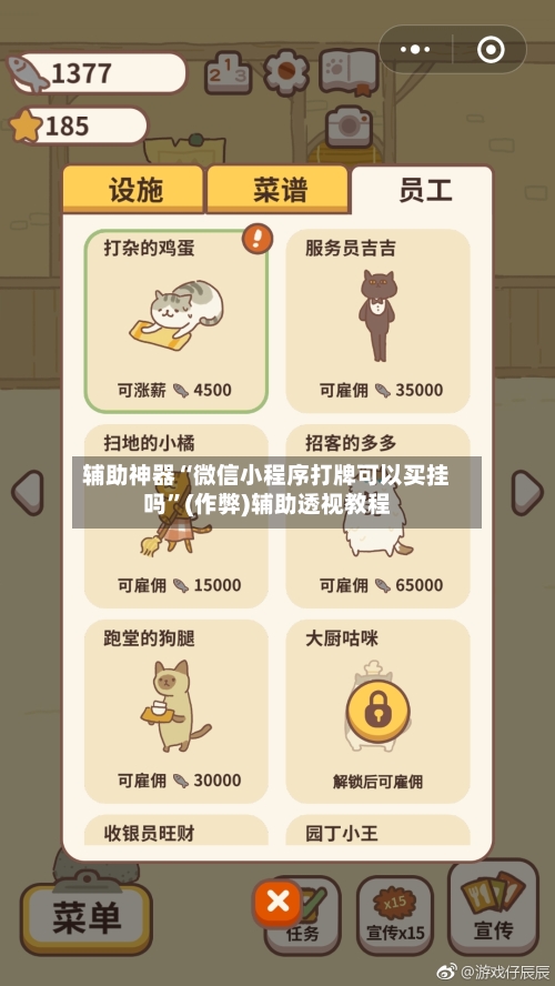 辅助神器“微信小程序打牌可以买挂吗”(作弊)辅助透视教程-第2张图片