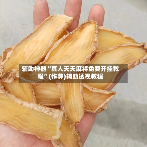 辅助神器“真人天天麻将免费开挂教程”(作弊)辅助透视教程