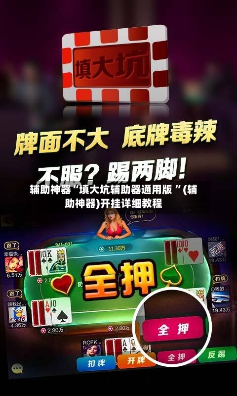 辅助神器“填大坑辅助器通用版 ”(辅助神器)开挂详细教程-第3张图片