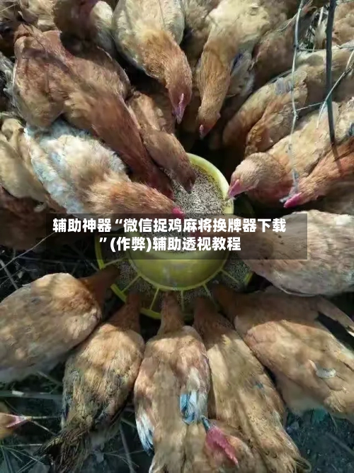 辅助神器“微信捉鸡麻将换牌器下载”(作弊)辅助透视教程