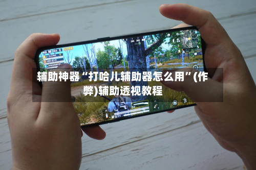 辅助神器“打哈儿辅助器怎么用”(作弊)辅助透视教程