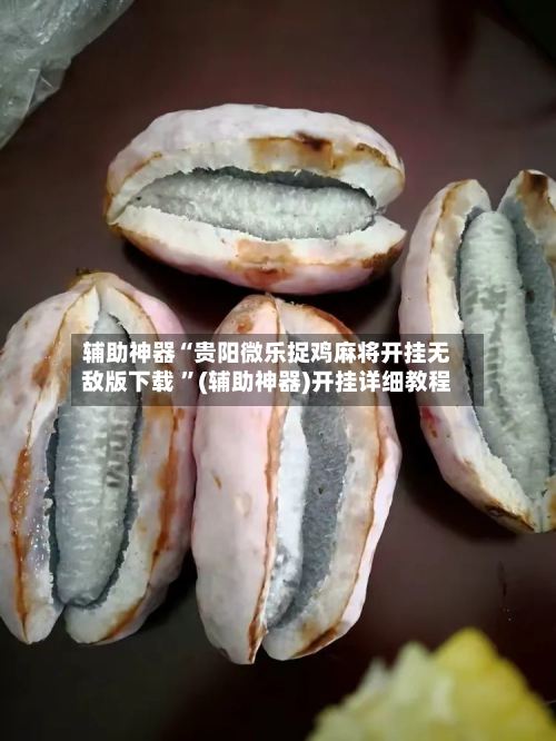 辅助神器“贵阳微乐捉鸡麻将开挂无敌版下载 ”(辅助神器)开挂详细教程